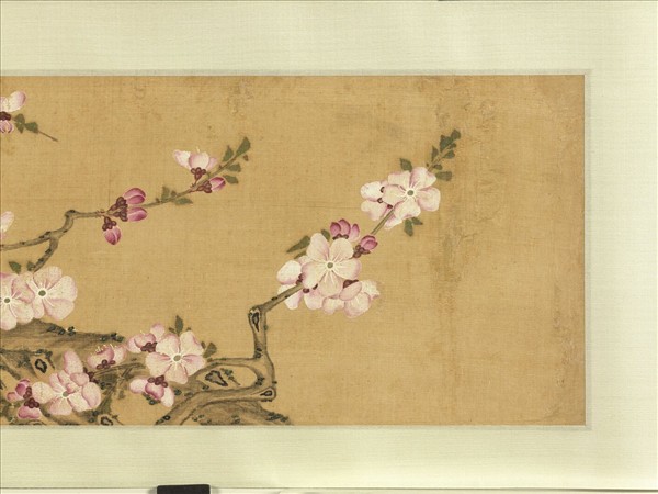 無名氏畫花卉（二）　卷