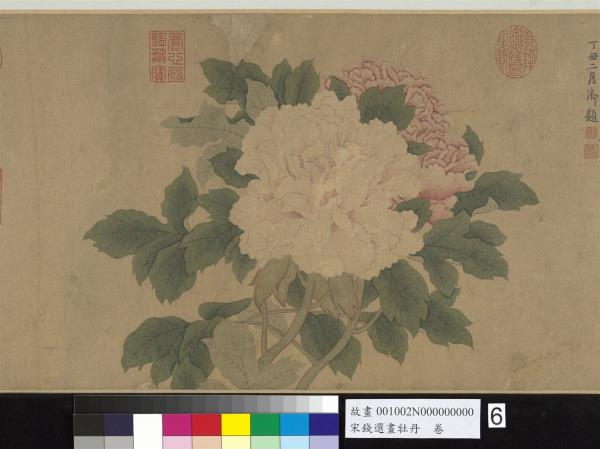 宋錢選畫牡丹　卷