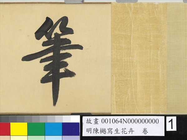 明陳樾寫生花卉　卷　後幅