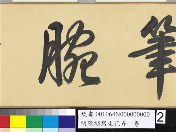 明陳樾寫生花卉　卷　後幅