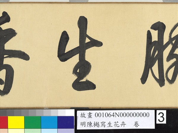 明陳樾寫生花卉　卷　後幅