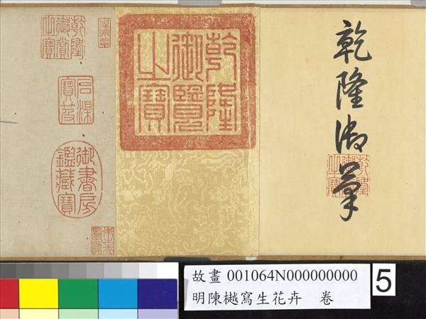 明陳樾寫生花卉　卷　後幅