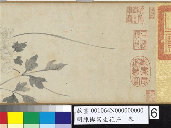 明陳樾寫生花卉　卷　後幅