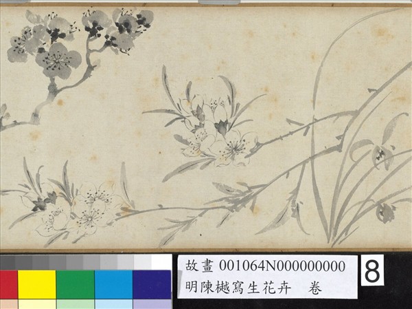 明陳樾寫生花卉　卷　後幅