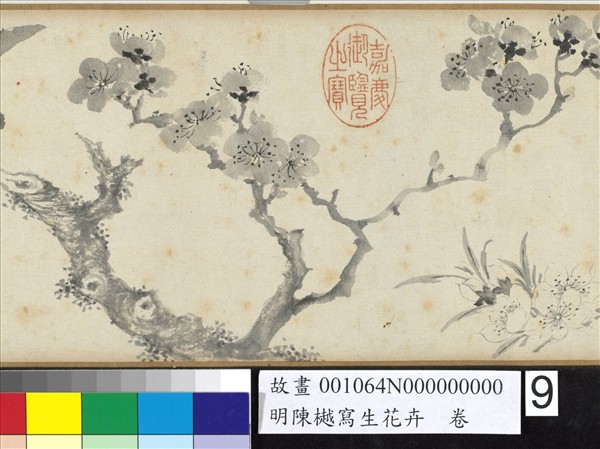 明陳樾寫生花卉　卷　後幅