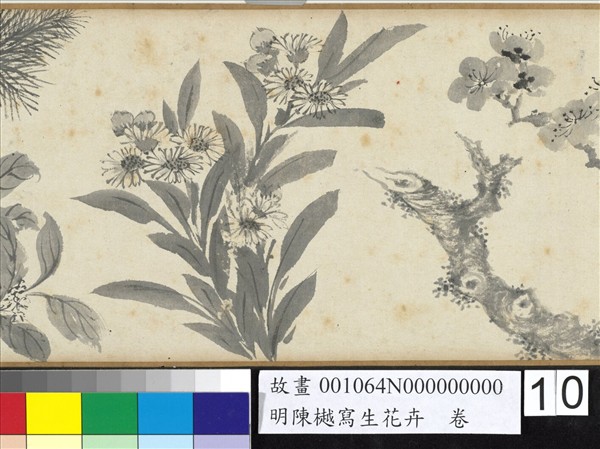 明陳樾寫生花卉　卷　後幅