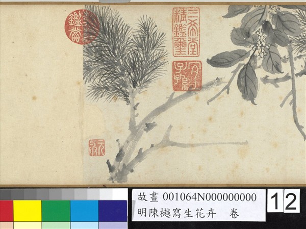 明陳樾寫生花卉　卷　後幅