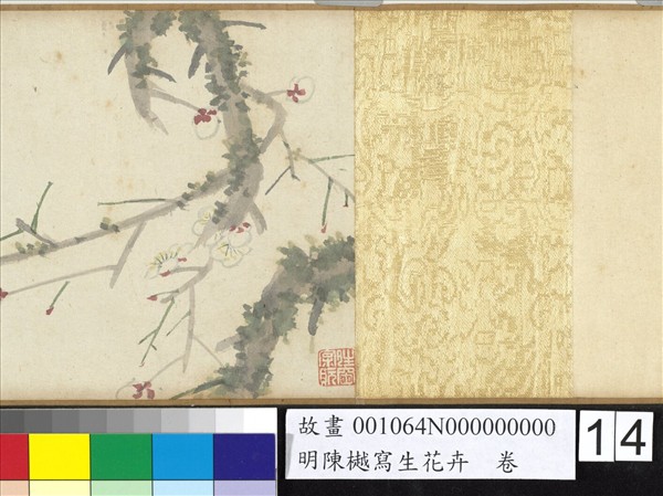 明陳樾寫生花卉　卷　後幅