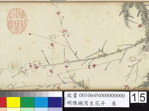 明陳樾寫生花卉　卷　後幅