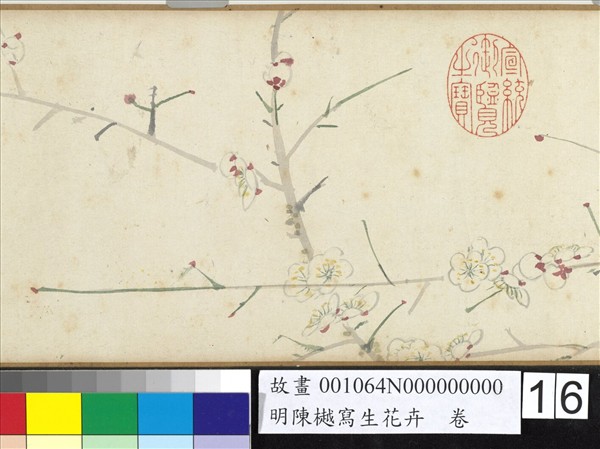 明陳樾寫生花卉　卷　後幅