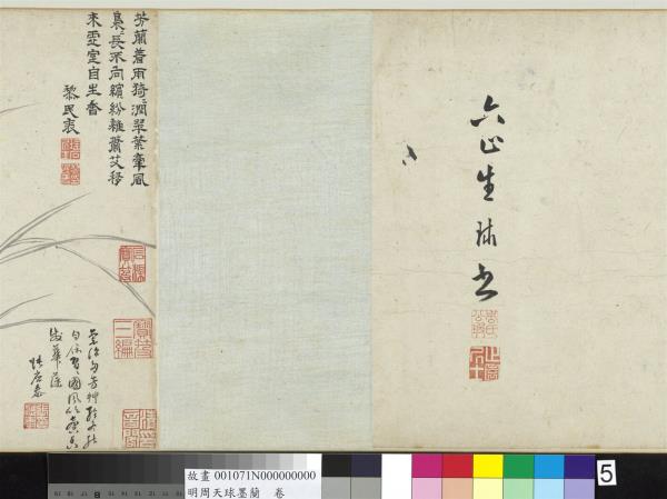 明周天球墨蘭　卷