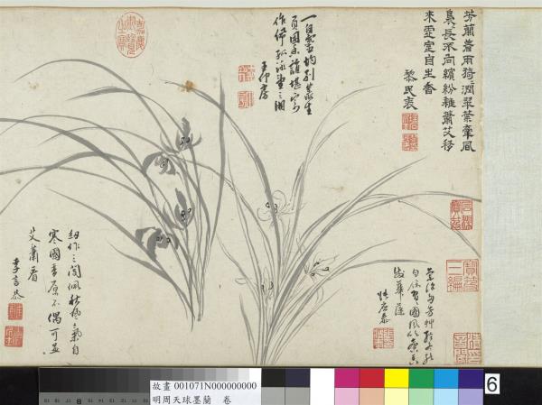 明周天球墨蘭　卷