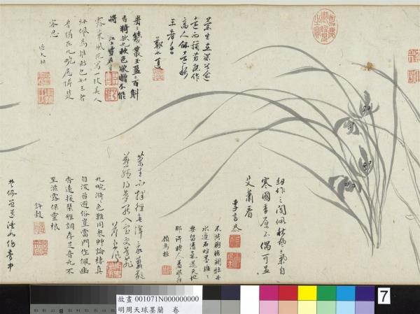 明周天球墨蘭　卷