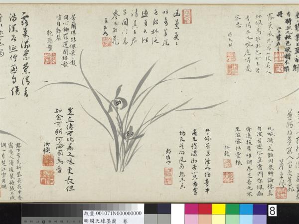 明周天球墨蘭　卷