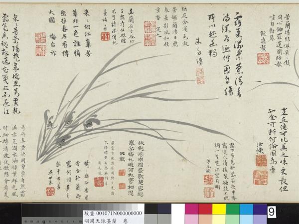 明周天球墨蘭　卷