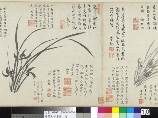 明周天球墨蘭　卷