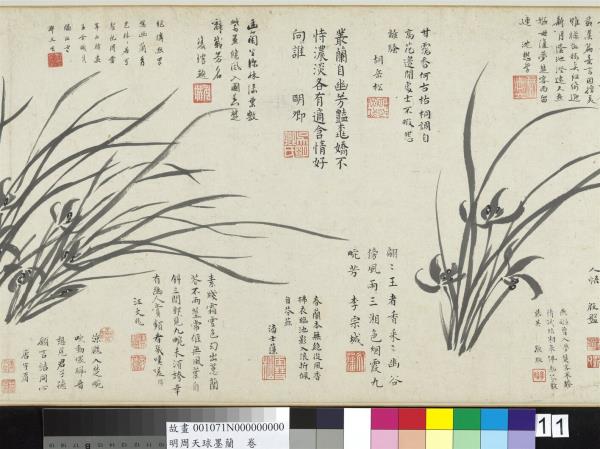 明周天球墨蘭　卷