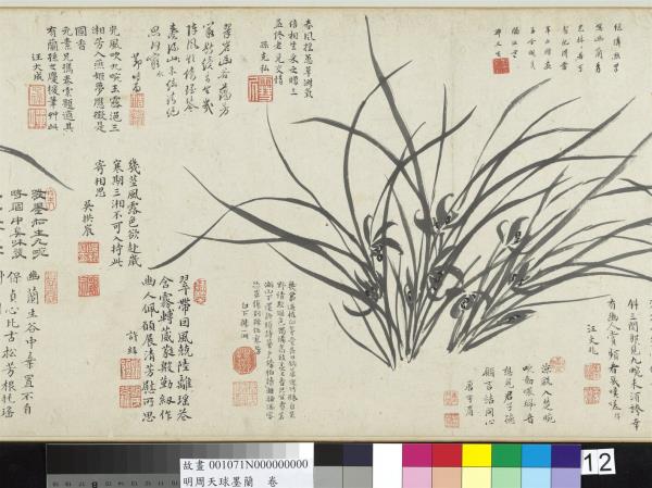 明周天球墨蘭　卷