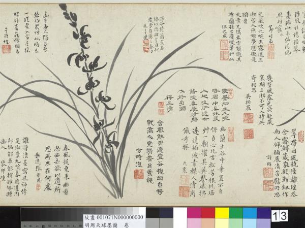 明周天球墨蘭　卷