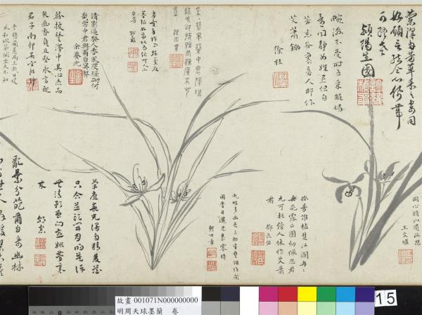 明周天球墨蘭　卷