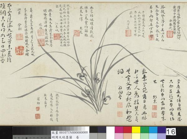 明周天球墨蘭　卷