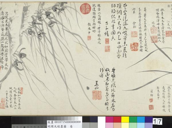 明周天球墨蘭　卷