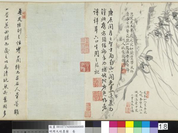 明周天球墨蘭　卷