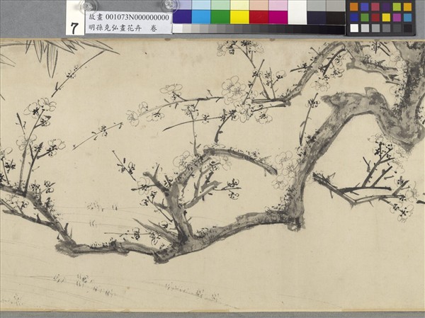 明孫克弘畫花卉　卷