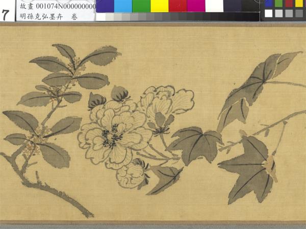 明孫克弘墨卉　卷