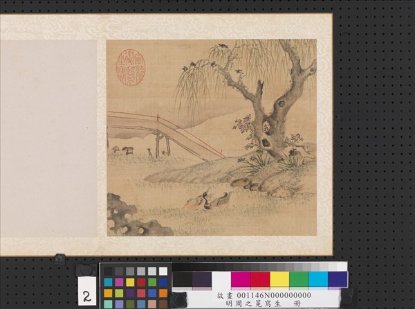 明周之冕寫生　冊　河塘戲鴨