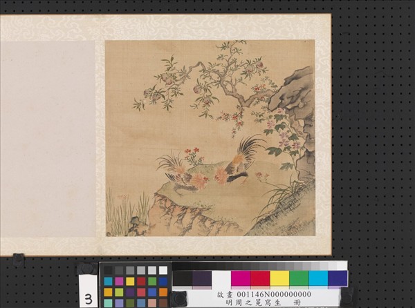 明周之冕寫生　冊　榴實雙雞