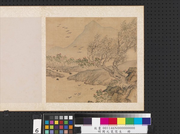 明周之冕寫生　冊　秋江鴨鳧