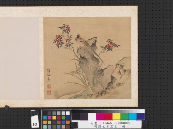 明周之冕寫生　冊　水仙雉雞