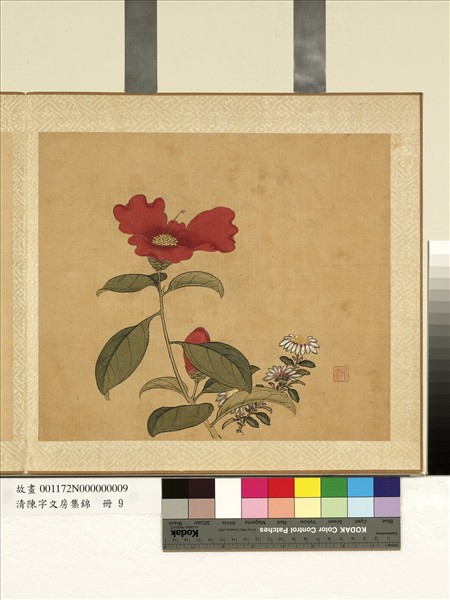 清陳字文房集錦　冊　山茶野菊