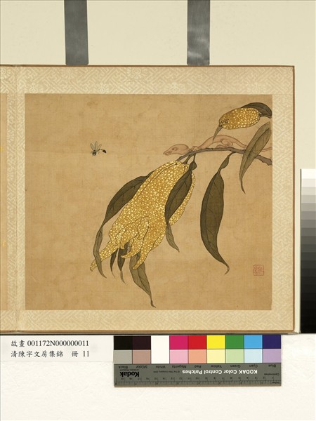 清陳字文房集錦　冊　佛手柑