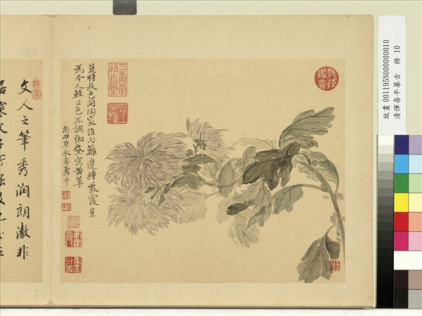 清惲壽平摹古　冊　菊花
