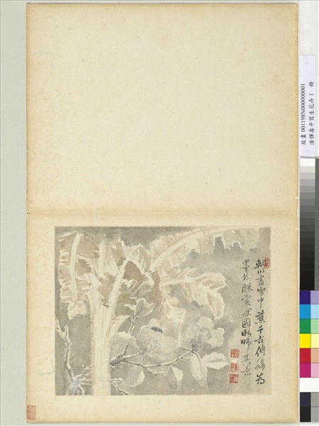 清惲壽平寫生花卉　冊　雪中蕉