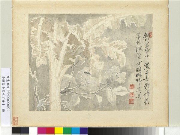 清惲壽平寫生花卉　冊　雪中蕉