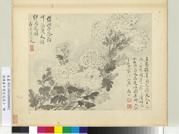 清惲壽平寫生花卉　冊　墨菊