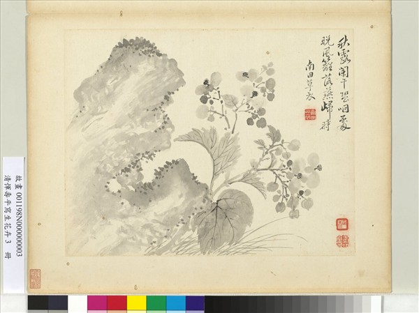 清惲壽平寫生花卉　冊　秋露闌干