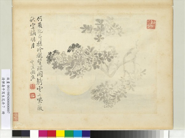 清惲壽平寫生花卉　冊　秋空摘月