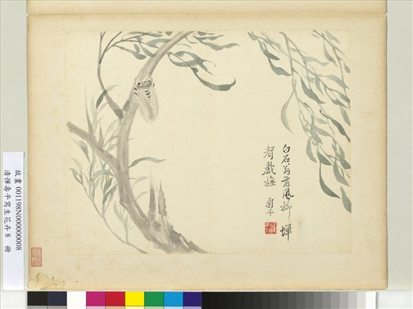 清惲壽平寫生花卉　冊　風柳蟬聲