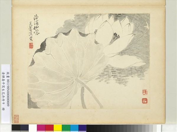 清惲壽平寫生花卉　冊　洛浦仙裳