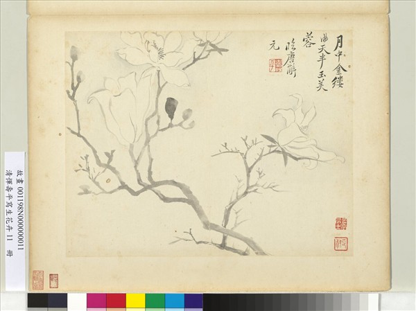 清惲壽平寫生花卉　冊　玉芙蓉