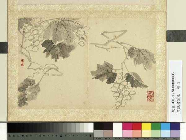 清陳書寫生　冊　海棠玉蘭