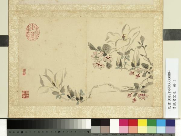 清陳書寫生　冊　蒲萄