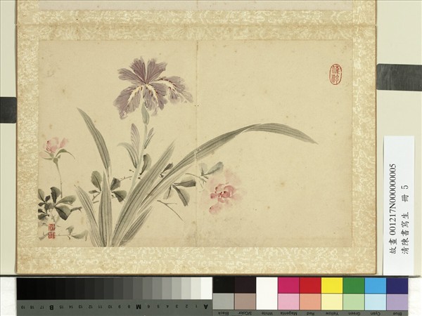 清陳書寫生　冊　蝴蝶花薔薇