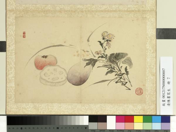 清陳書寫生　冊　蔬果藍菊