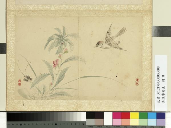 清陳書寫生　冊　鳳仙瓦雀