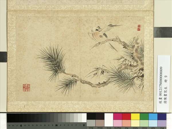 清陳書寫生　冊　松竹山禽